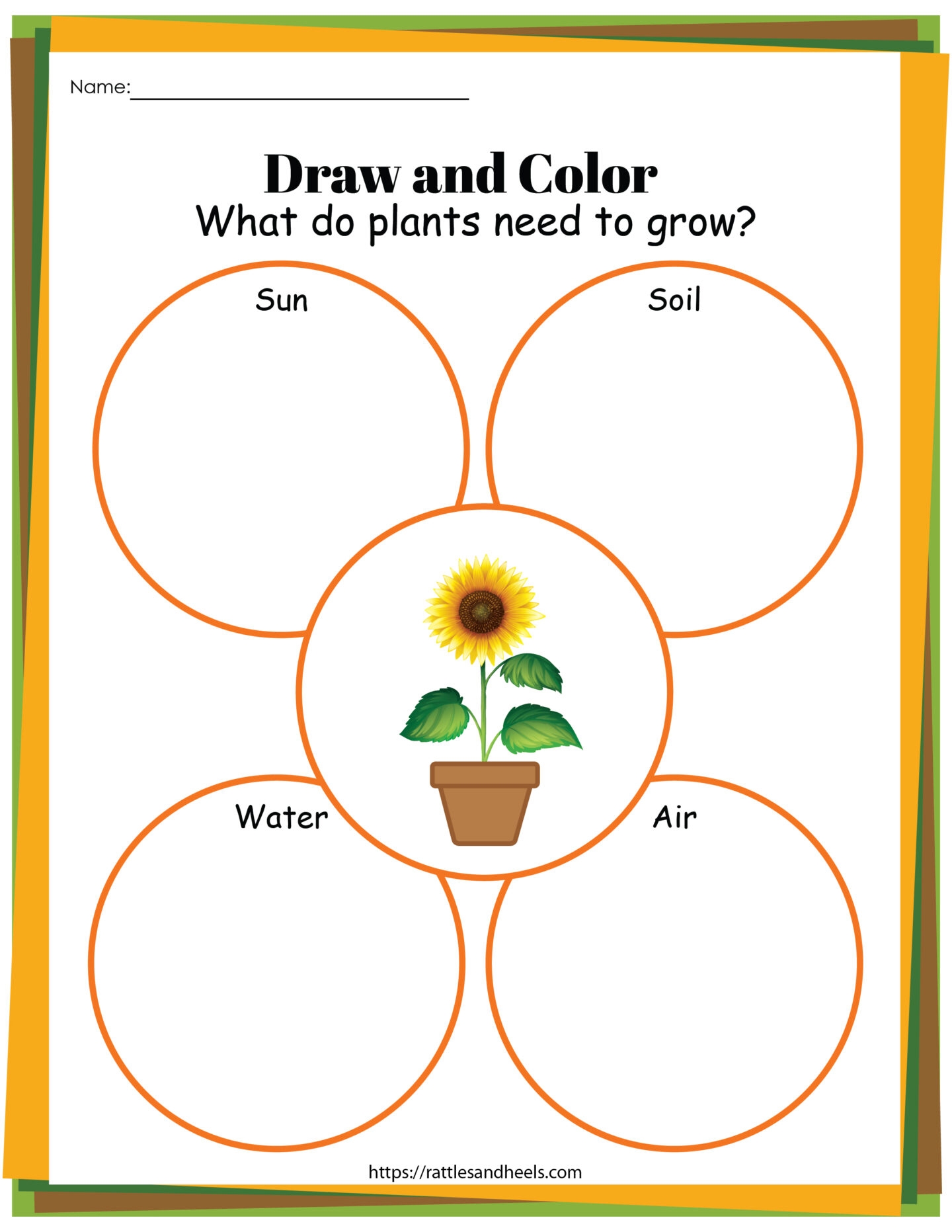 Plant Life Cycle Worksheet Preschool Plant Life Cycle Worksheet Preschool