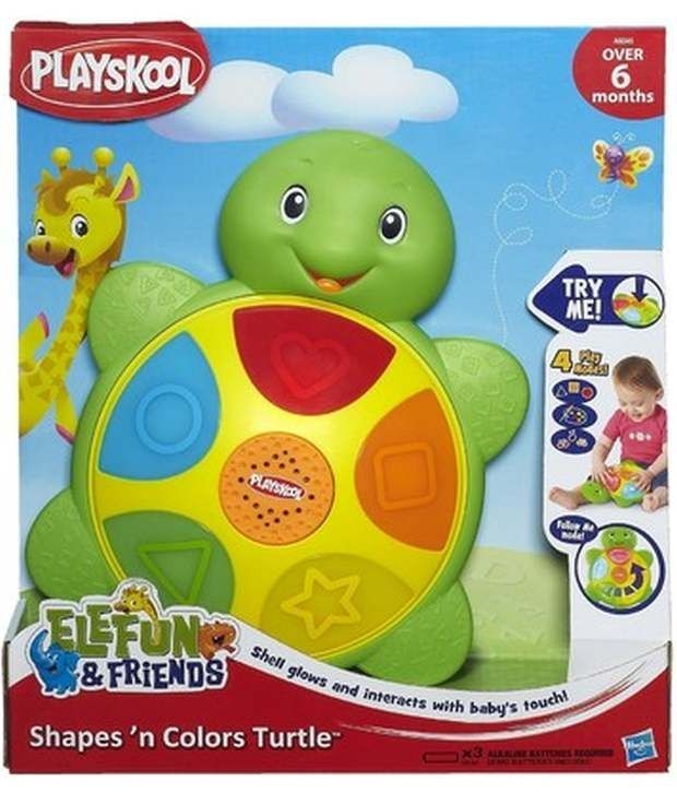 colors of a turtle colors of a turtle