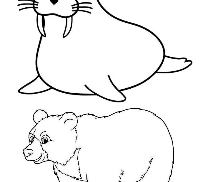 Polar Animals Coloring Page