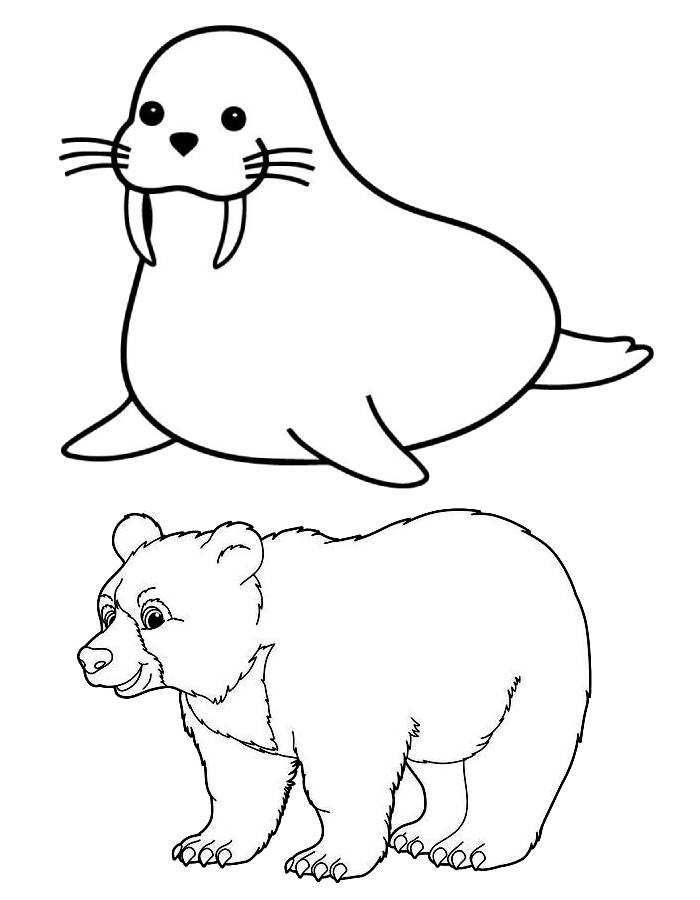 Polar Animals Coloring Page Polar Animals Coloring Page