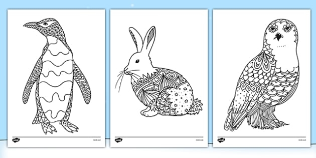 Polar Animals Mindfulness Coloring Sheets Teacher Made 