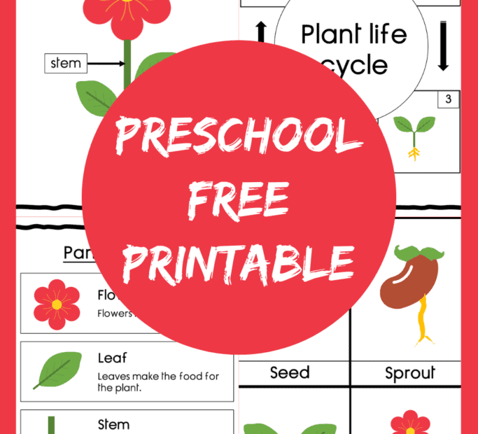 Preschool Science Plant Life Cycle Free Printables Artofit