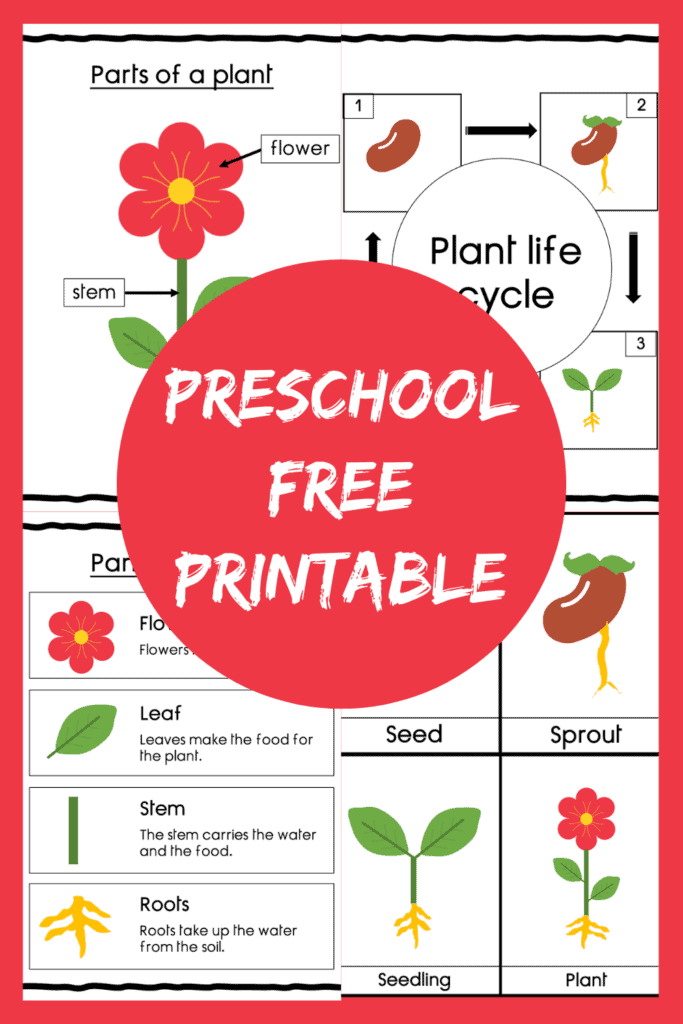 Preschool Science Plant Life Cycle Free Printables Artofit Preschool Science Plant Life Cycle Free Printables Artofit