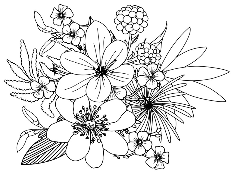 Pretty Flower Coloring Sheet Infoupdate Pretty Flower Coloring Sheet Infoupdate