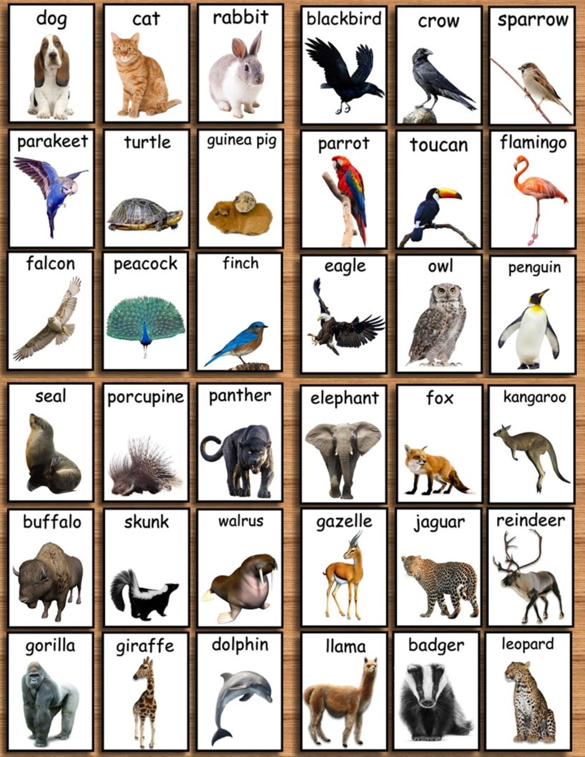 Printable Animal Cards Printable Animal Cards