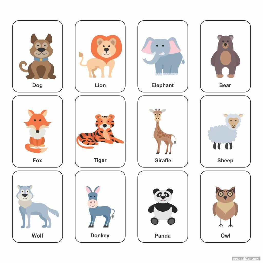 Printable Animal Flash Cards Gridgit Printable Animal Flash Cards Gridgit