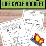 Printable Butterfly Life Cycle Booklet For Preschool Learning Printable Butterfly Life Cycle Booklet For Preschool Learning