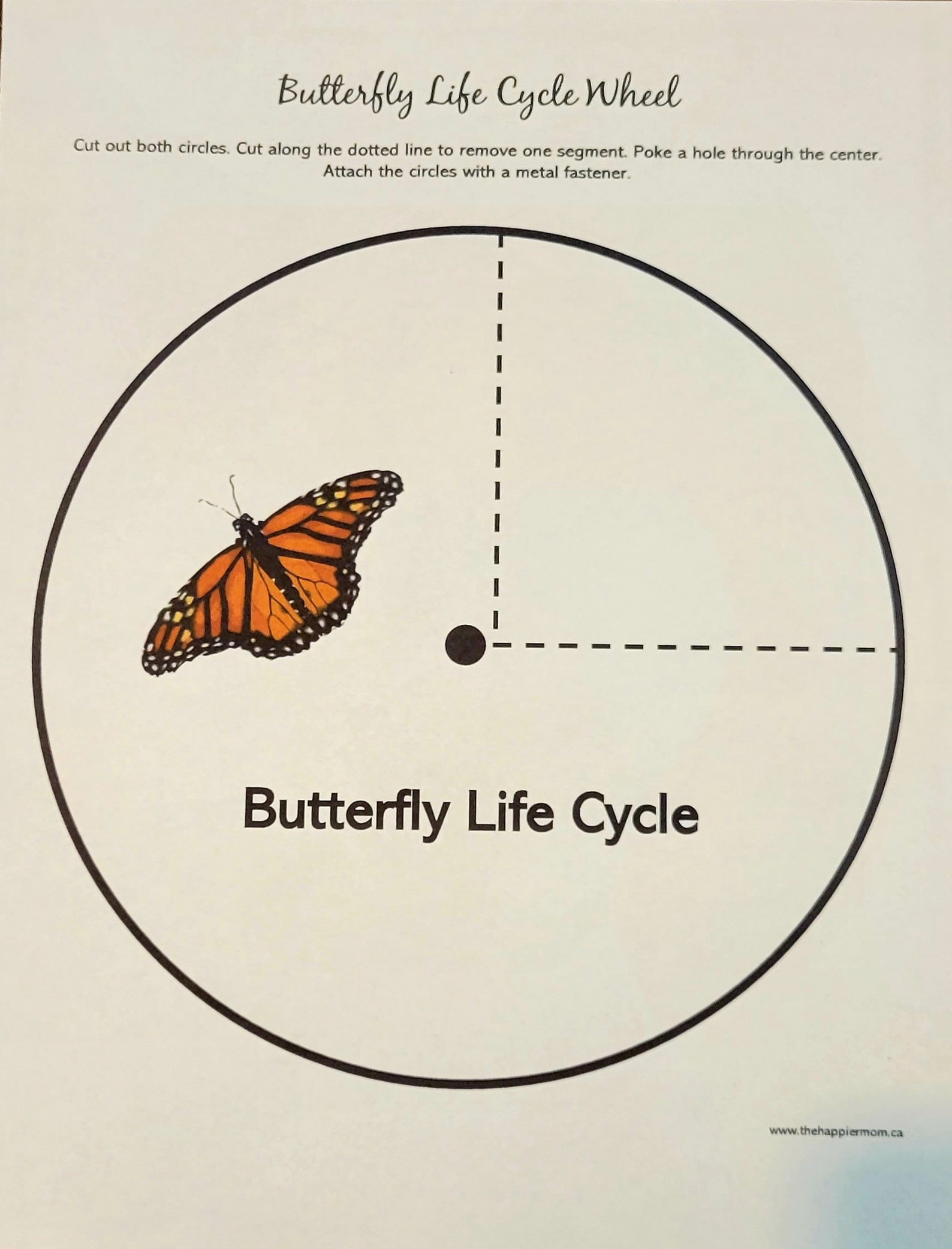 Butterfly Life Cycle Wheel Printable Butterfly Life Cycle Wheel Printable
