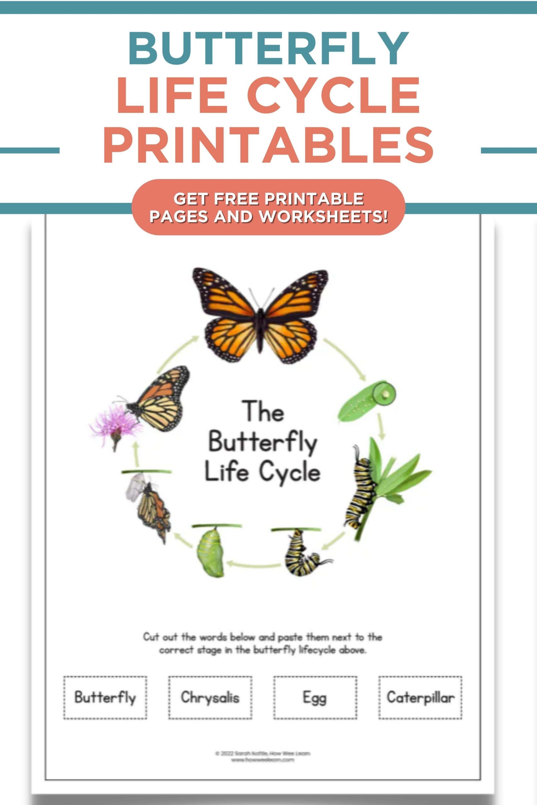Printable Butterfly Worksheets Artofit Printable Butterfly Worksheets Artofit