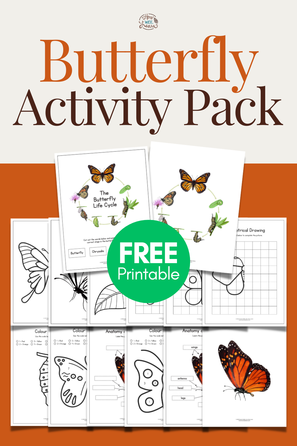 Printable Butterfly Worksheets Artofit Printable Butterfly Worksheets Artofit