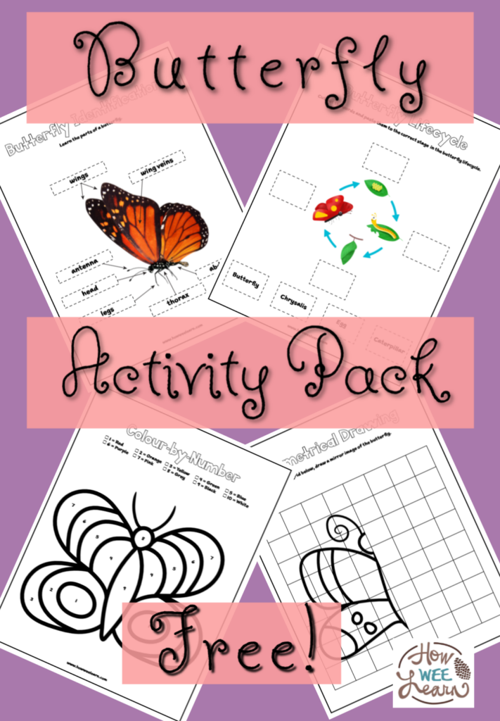 Free Printable Butterfly Worksheets Free Printable Butterfly Worksheets
