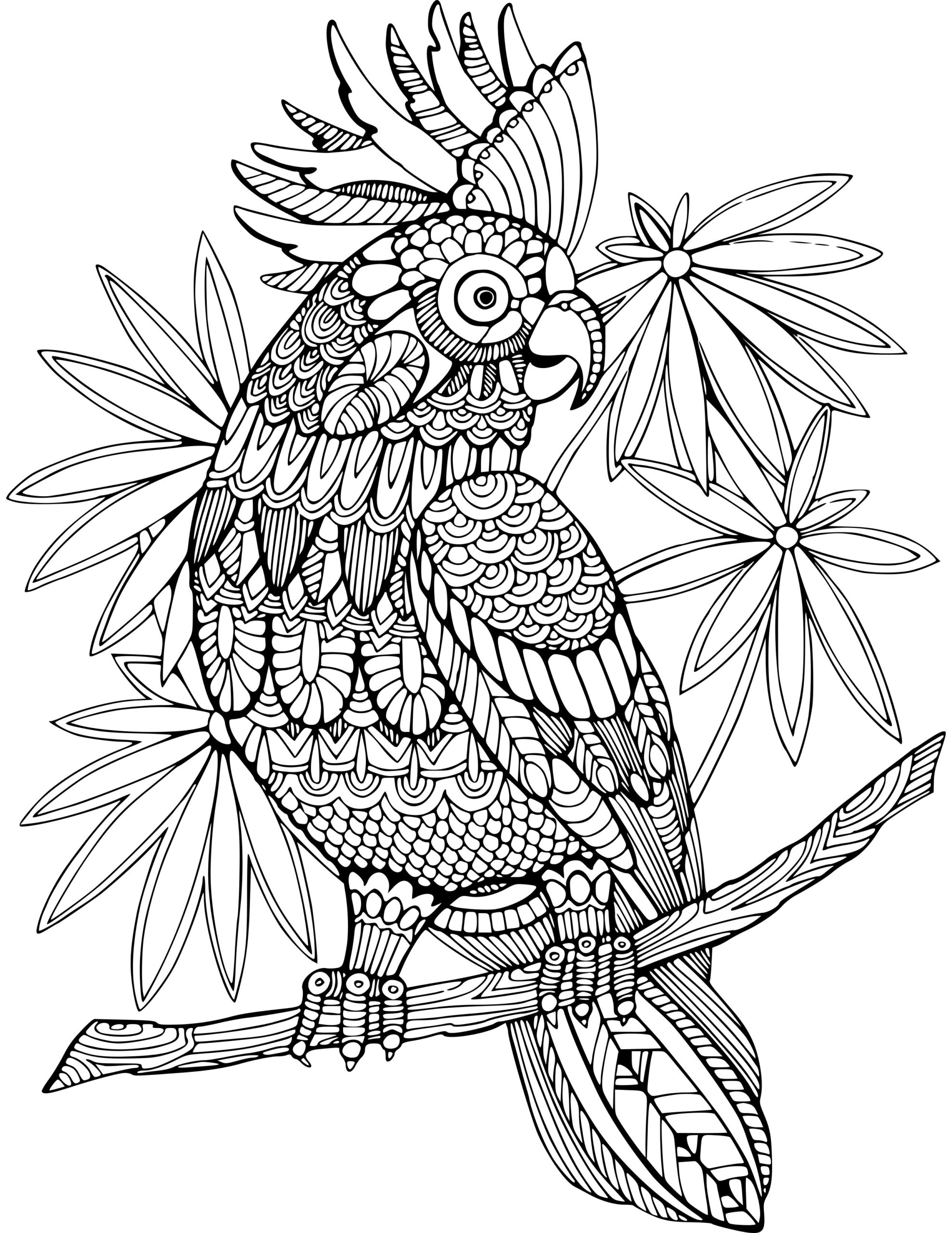 coloring sheets of animals coloring sheets of animals