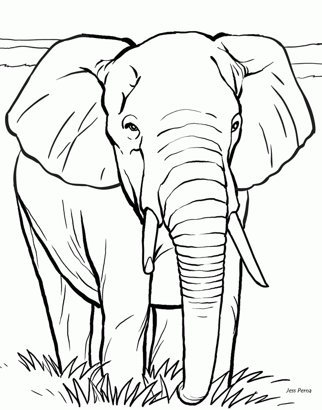 Printable Coloring Pages Elephant Printable Coloring Pages Elephant