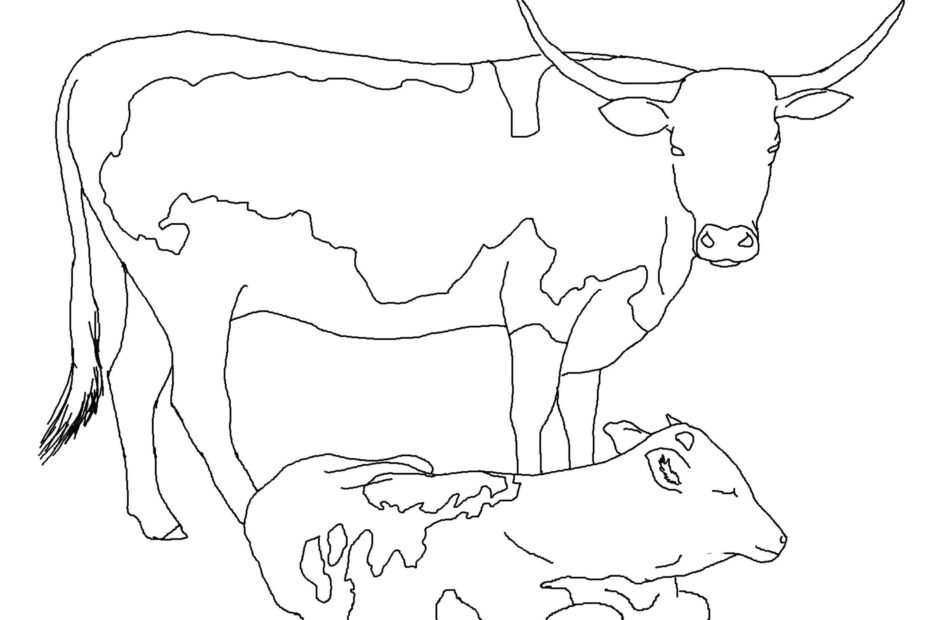Printable Coloring Pages Of Cows Warehouse Of Ideas