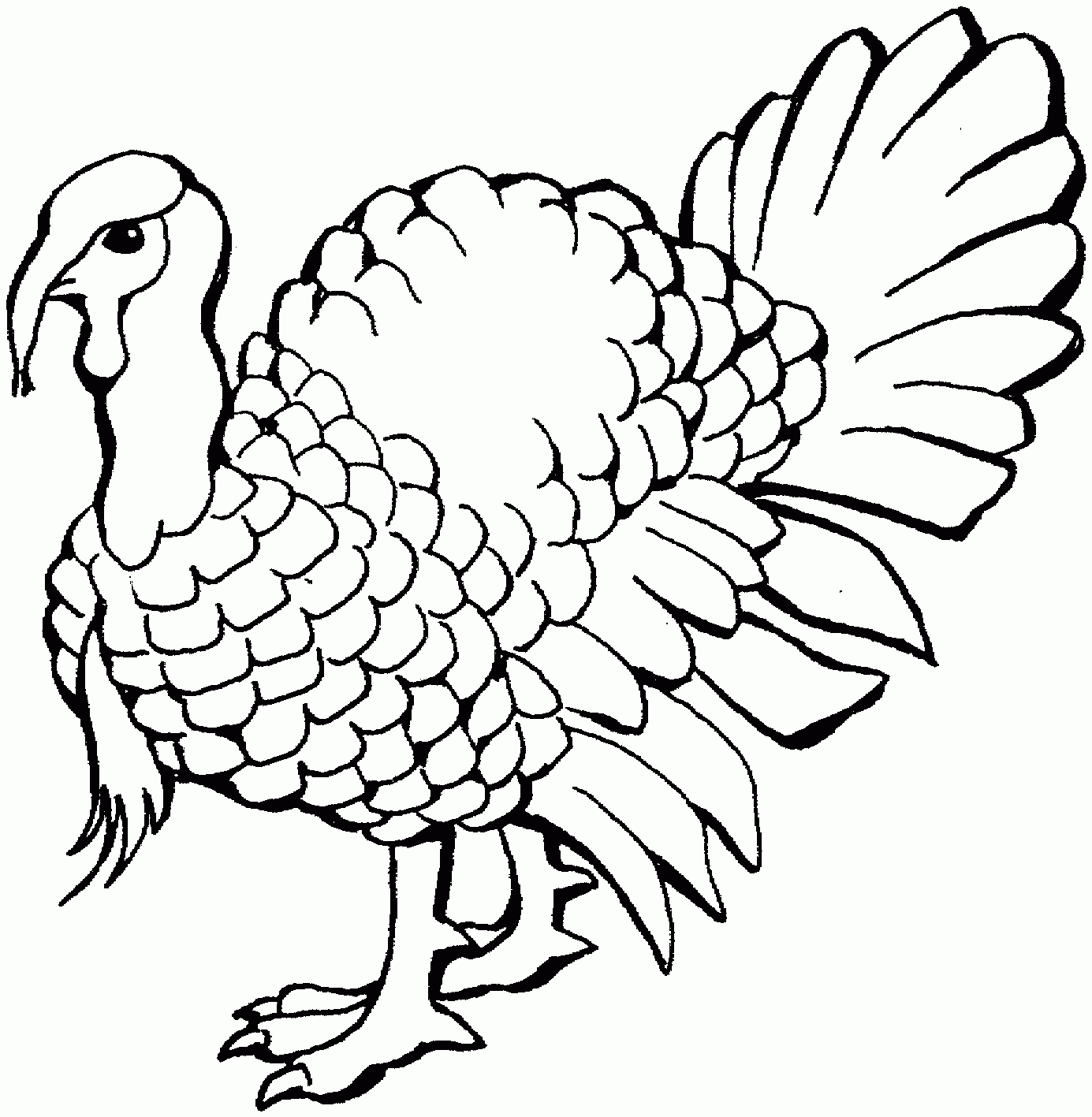 Printable Coloring Turkeys Printable Coloring Turkeys