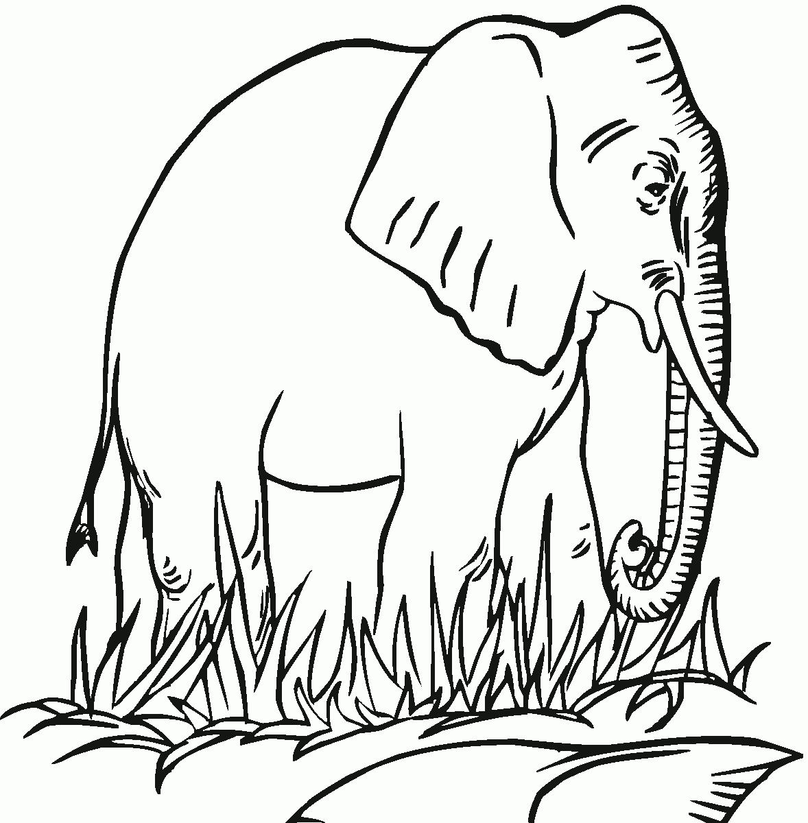 free elephant coloring pages printable free elephant coloring pages printable