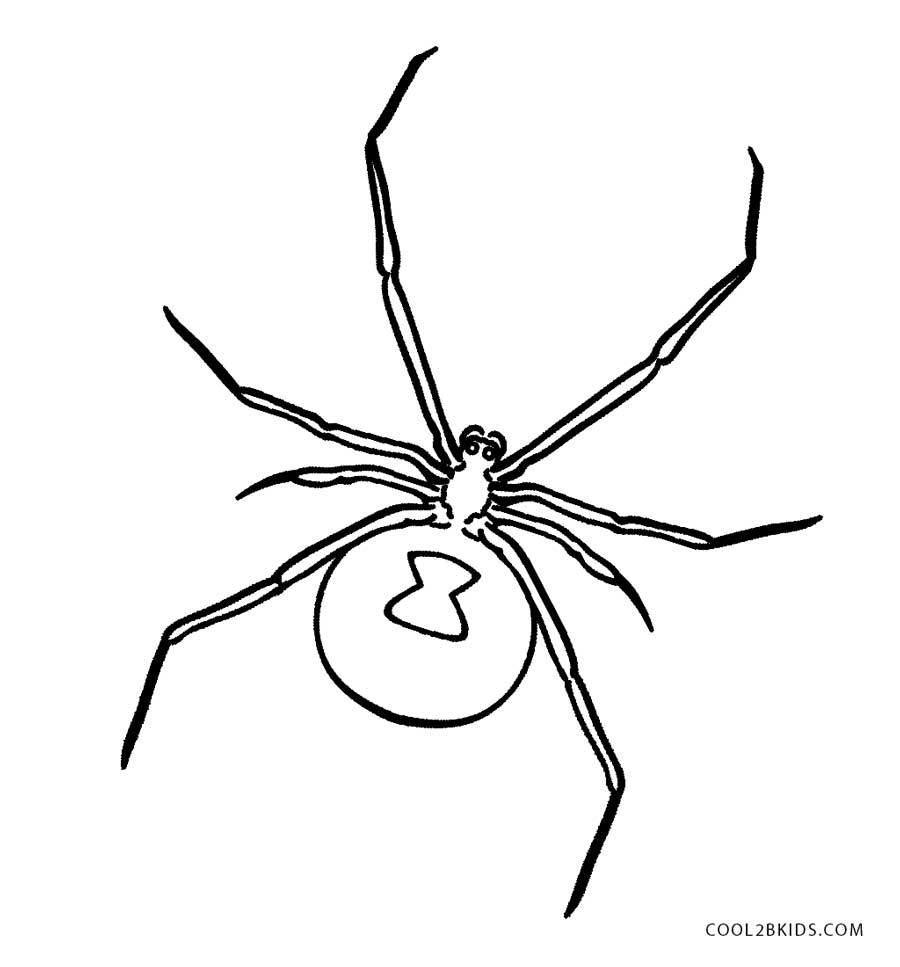 ghost spider coloring page printable ghost spider coloring page printable