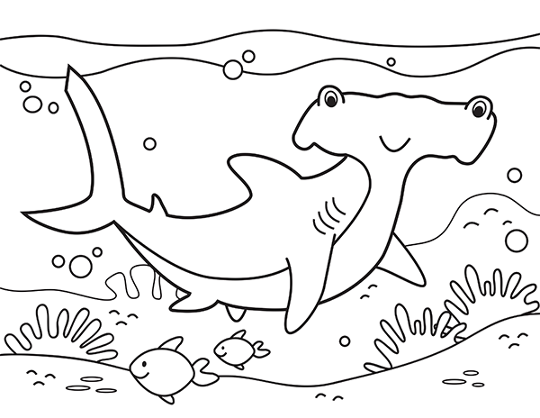 free hammerhead shark coloring page free hammerhead shark coloring page