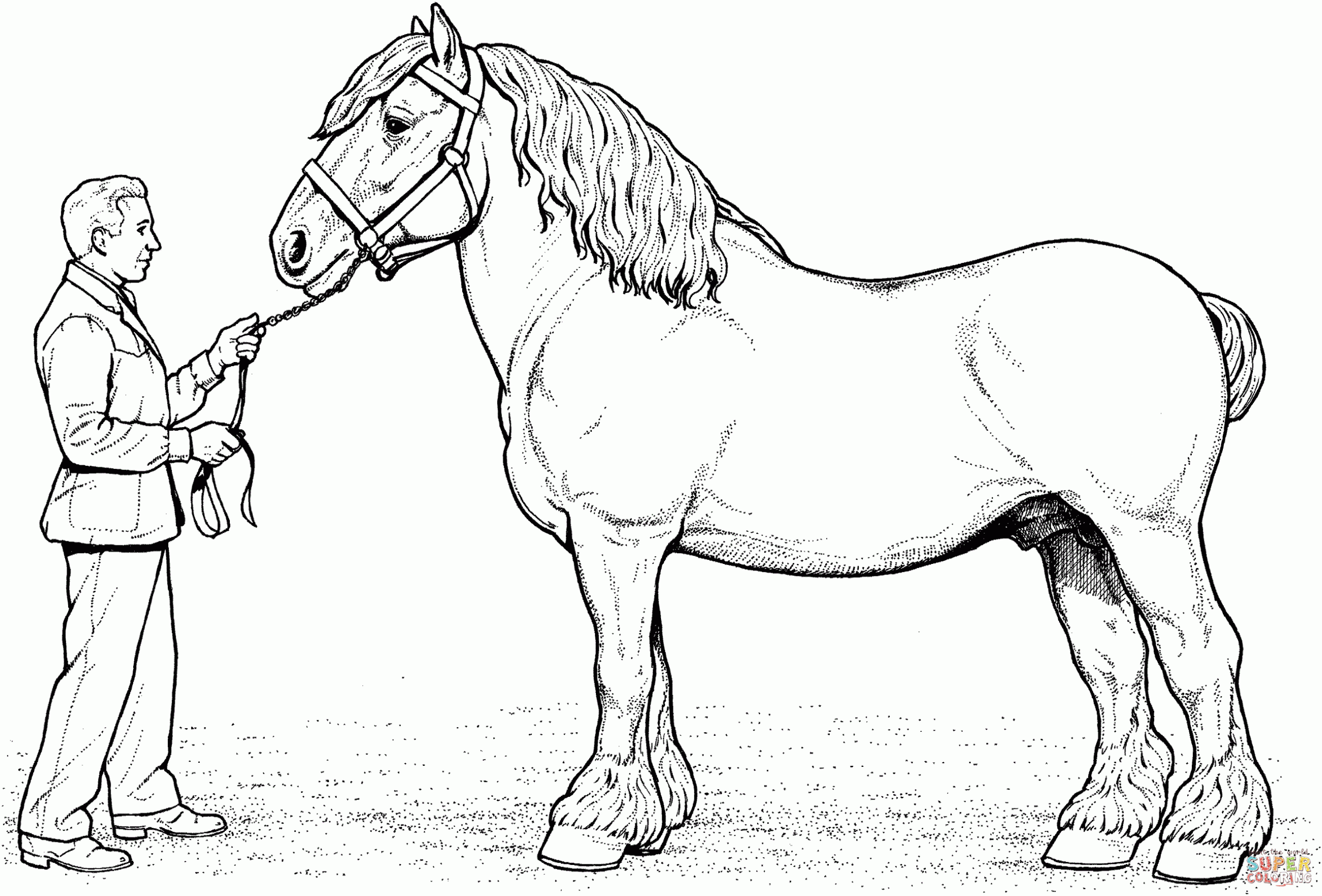 Printable Horse Coloring Sheets Printable Horse Coloring Sheets