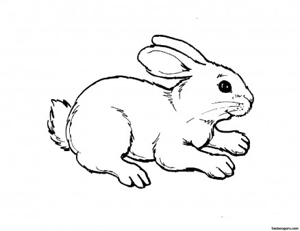 Printable Kids Coloring Pages Animal Rabbit Free Kids Coloring Pages Printable Kids Coloring Pages Animal Rabbit Free Kids Coloring Pages