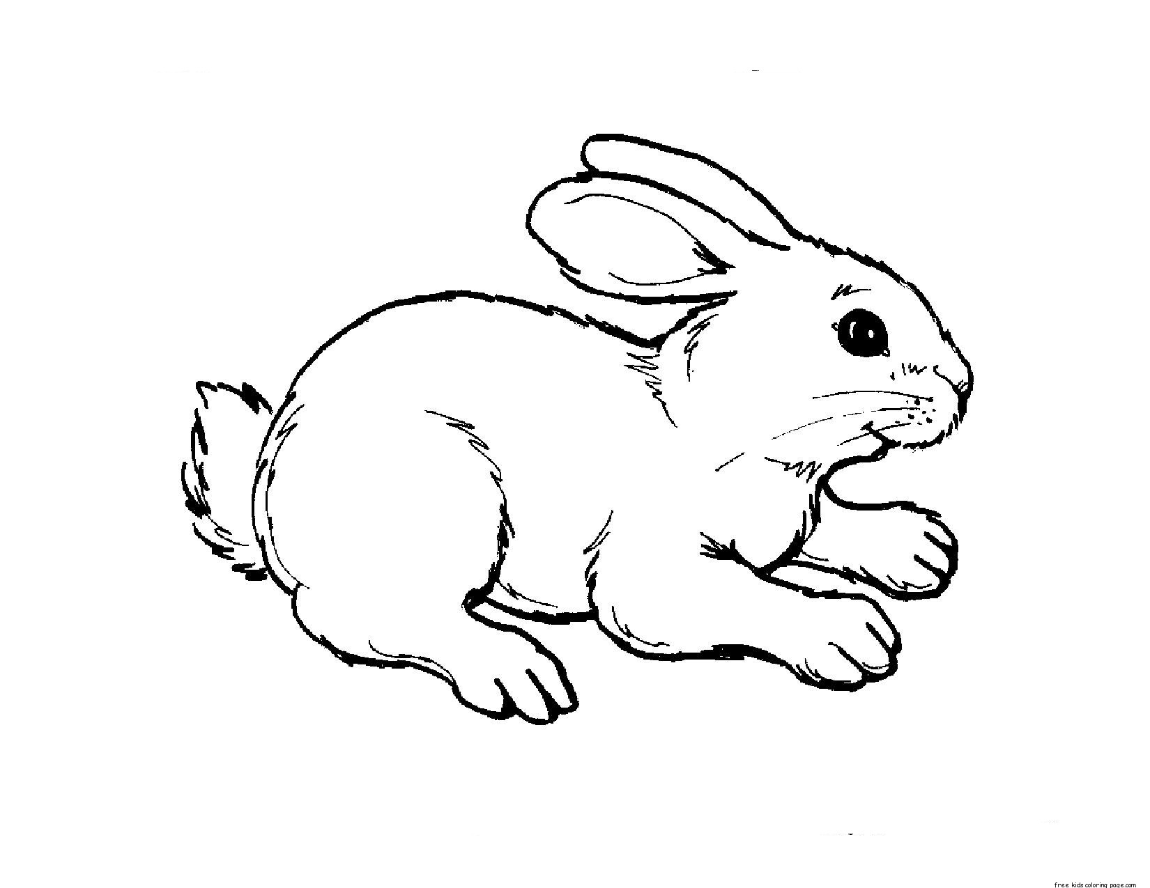Printable Kids Coloring Pages Animal Rabbit Free Printable Coloring Printable Kids Coloring Pages Animal Rabbit Free Printable Coloring