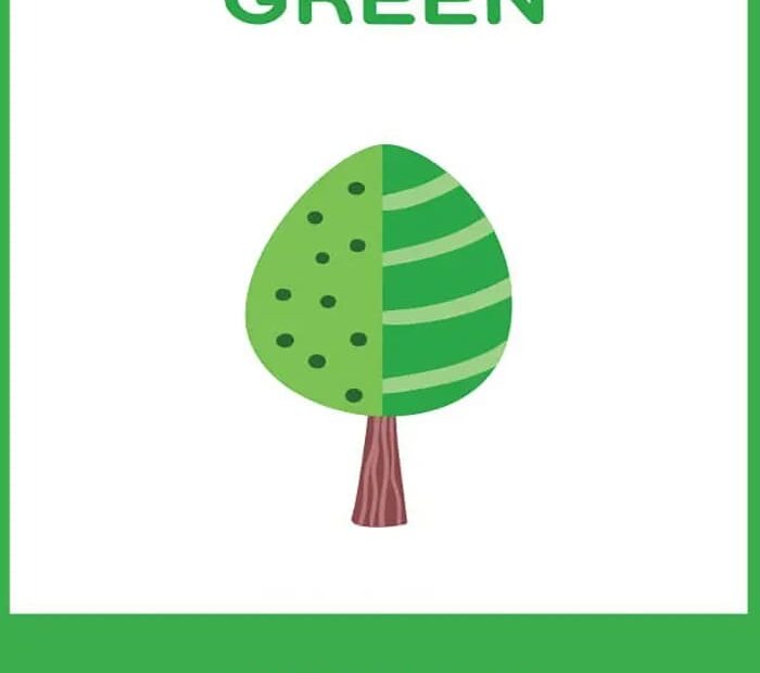 Printable Large Color Flash Cards Free Download And Print For You