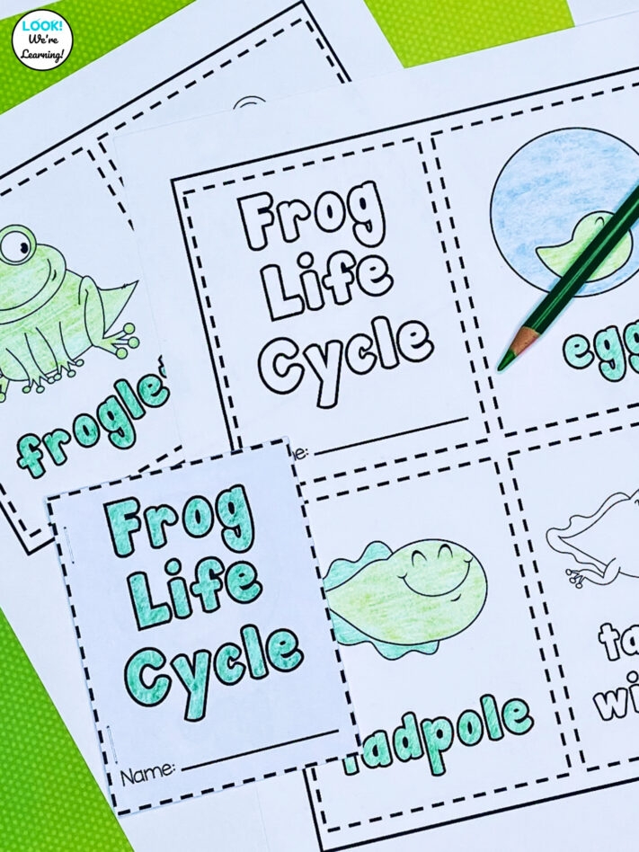 Printable Mini Frog Life Cycle Book For Kids Look We 39 re Learning Printable Mini Frog Life Cycle Book For Kids Look We 39 re Learning