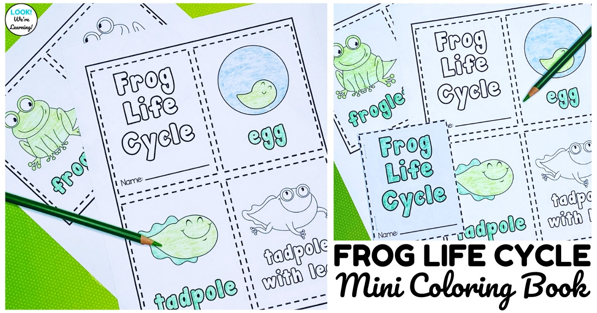 Printable Mini Frog Life Cycle Book For Kids Look We 39 re Learning Printable Mini Frog Life Cycle Book For Kids Look We 39 re Learning