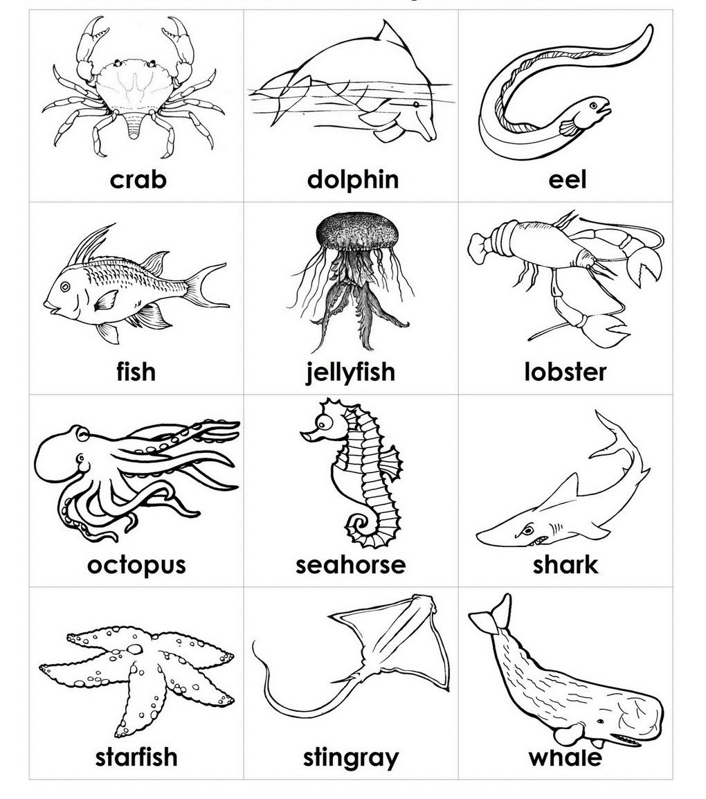 Printable Ocean Animals Coloring Pages Richard A McKinney Printable Ocean Animals Coloring Pages Richard A McKinney