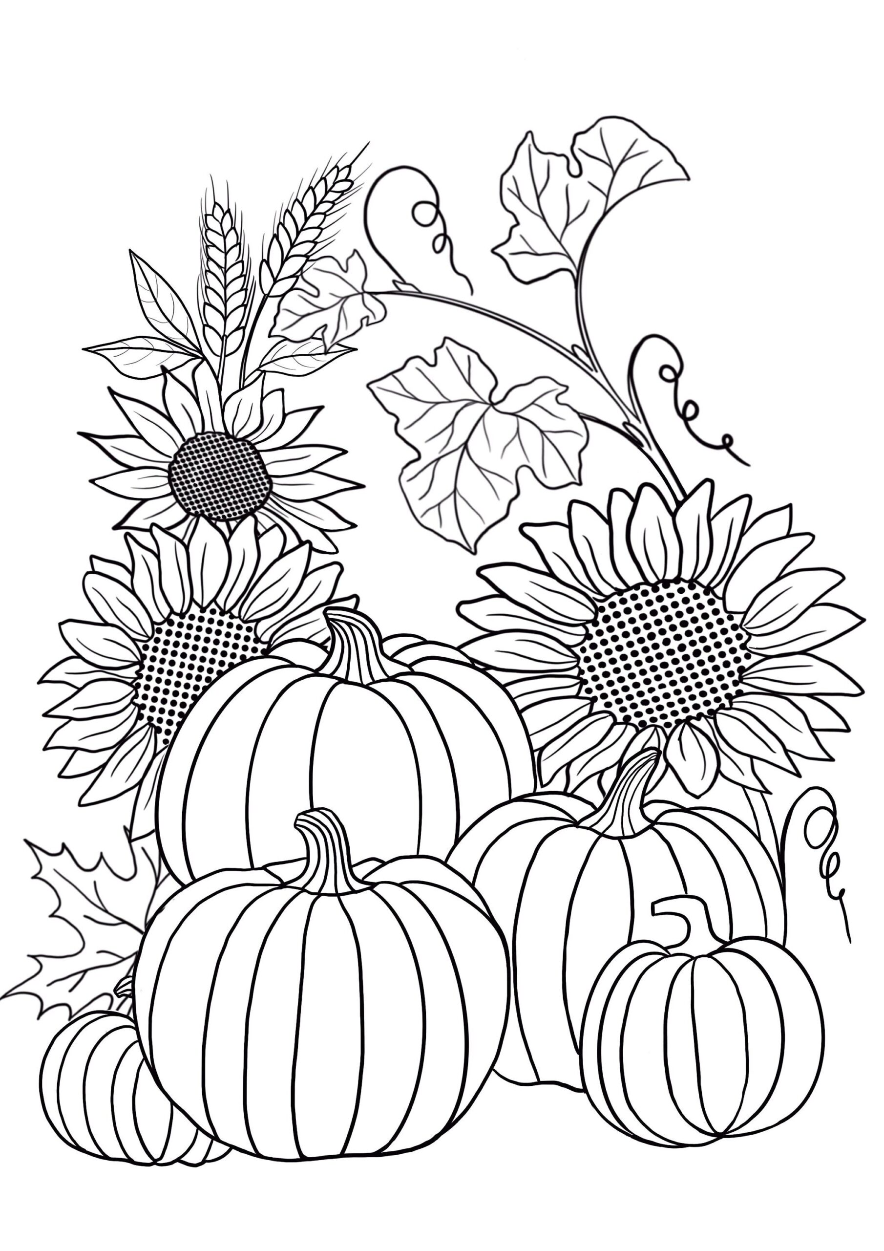Printable Pumpkin Coloring Sheets With Flowers Coloring Pages Adult Printable Pumpkin Coloring Sheets With Flowers Coloring Pages Adult