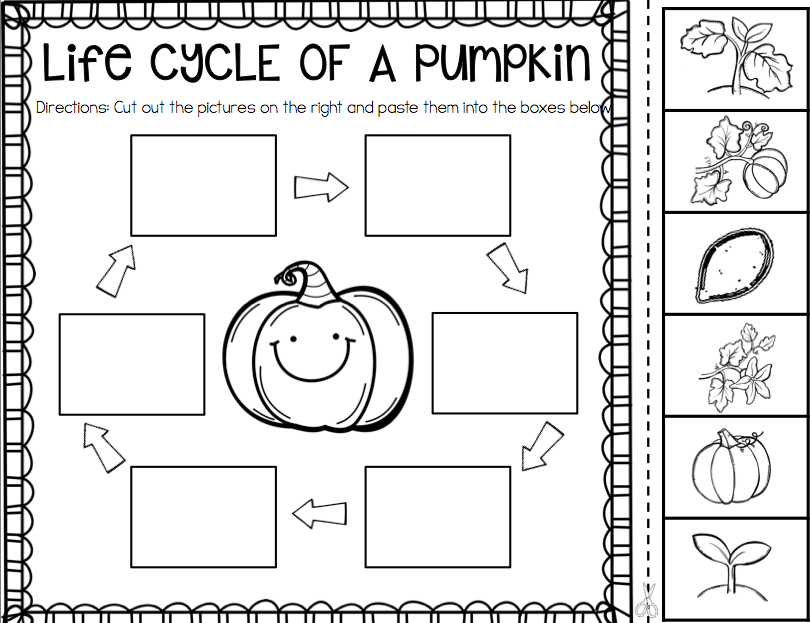Printable Pumpkin Life Cycle Worksheet Printable Pumpkin Life Cycle Worksheet