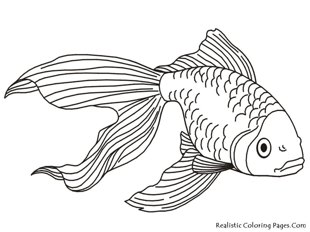 Printable Realistic Animal Coloring Pages At GetColorings Free Printable Realistic Animal Coloring Pages At GetColorings Free