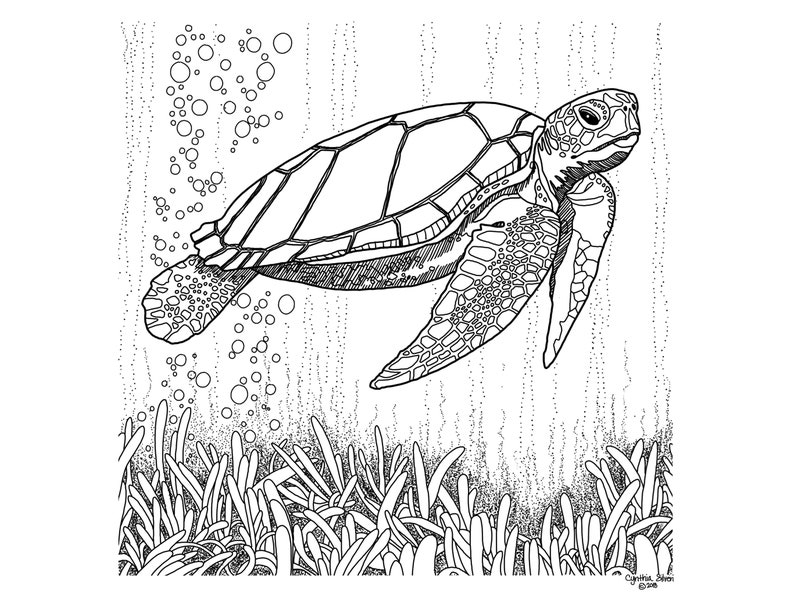 printable sea turtle coloring page printable sea turtle coloring page