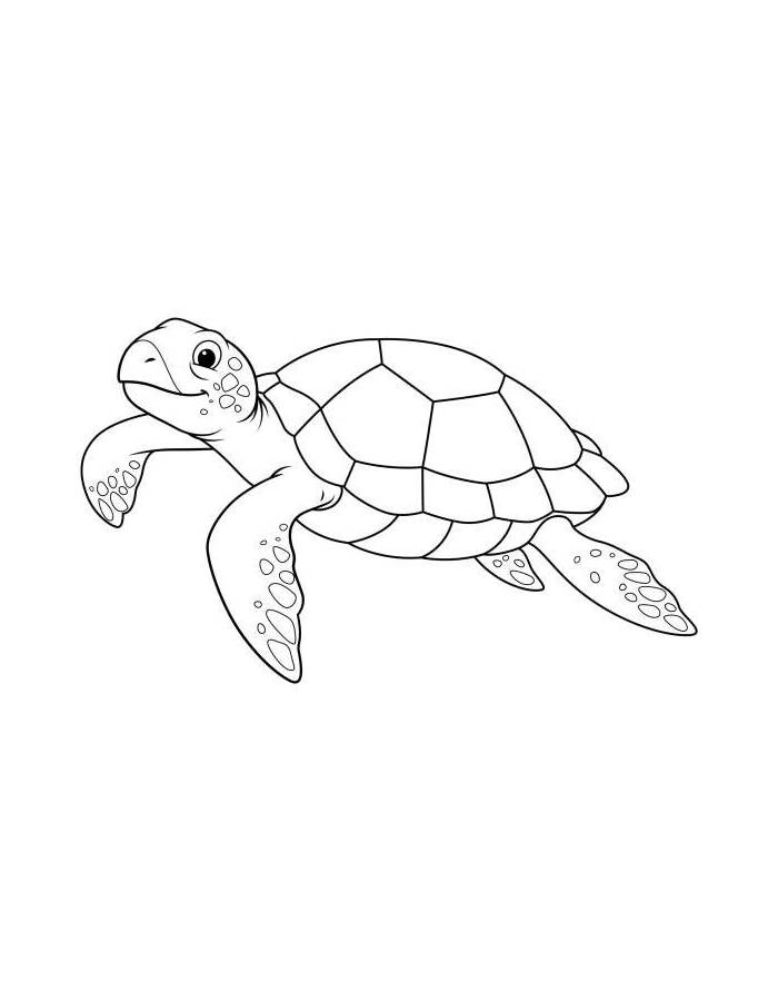 Printable Sea Turtle Pdfs Coloring Page Printable Sea Turtle Pdfs Coloring Page