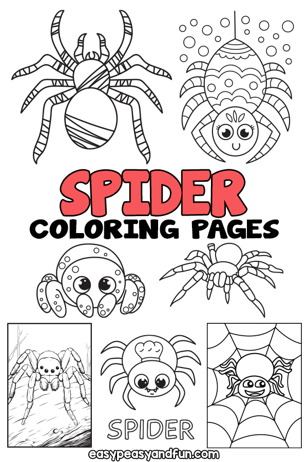 spider coloring pages for adults spider coloring pages for adults
