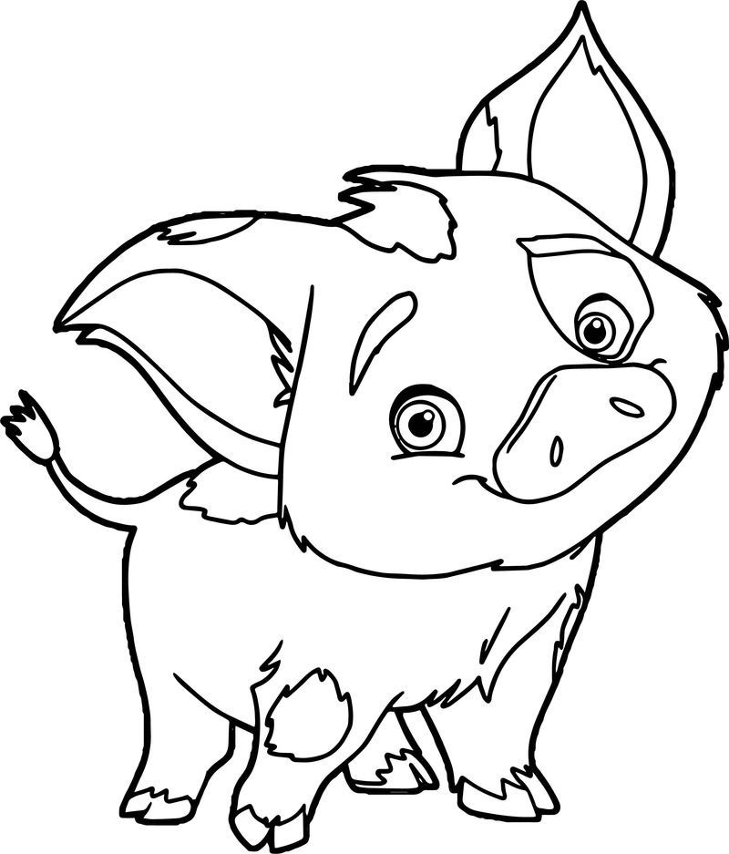 Pua Moana Coloring Page Coloring Pages Pua Moana Coloring Page Coloring Pages