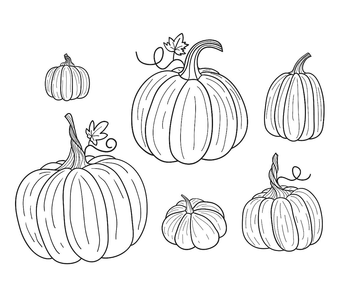 Pumpkin Coloring Sheet Printable Free Printable Pumpkin Coloring Pages Pumpkin Coloring Sheet Printable Free Printable Pumpkin Coloring Pages