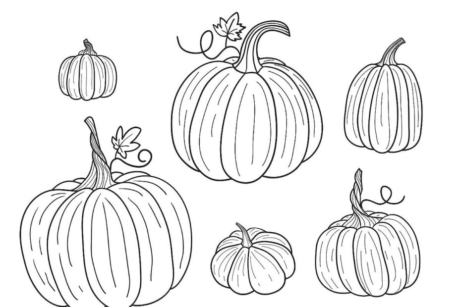 Pumpkin Coloring Sheet Printable Free Printable Pumpkin Coloring Pages