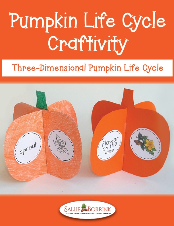 Pumpkin Life Cycle Craft A Quiet Simple Life With Sallie Borrink Pumpkin Life Cycle Craft A Quiet Simple Life With Sallie Borrink