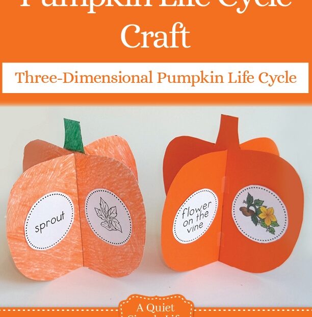 Pumpkin Life Cycle Craft Sallie Borrink