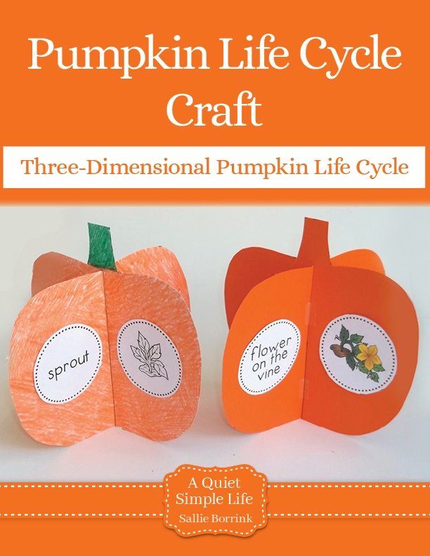Pumpkin Life Cycle Craft Sallie Borrink Pumpkin Life Cycle Craft Sallie Borrink
