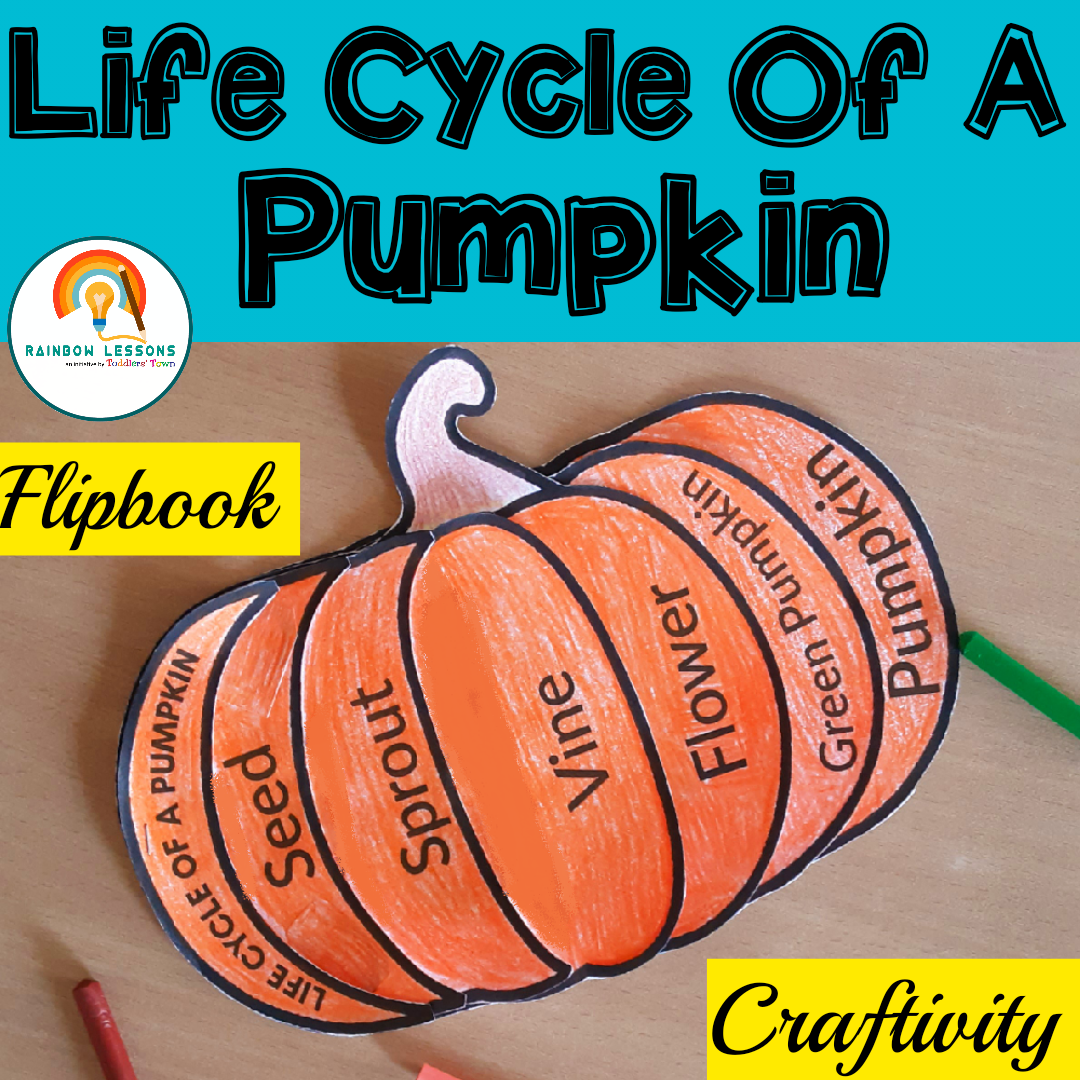 Pumpkin Life Cycle Flipbook Pumpkin Craft Made By Teachers Pumpkin Life Cycle Flipbook Pumpkin Craft Made By Teachers