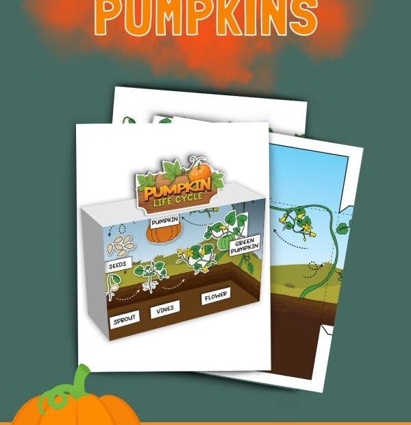 Pumpkin Plant Life Cycle Printable Worksheet Pumpkin Flower Green