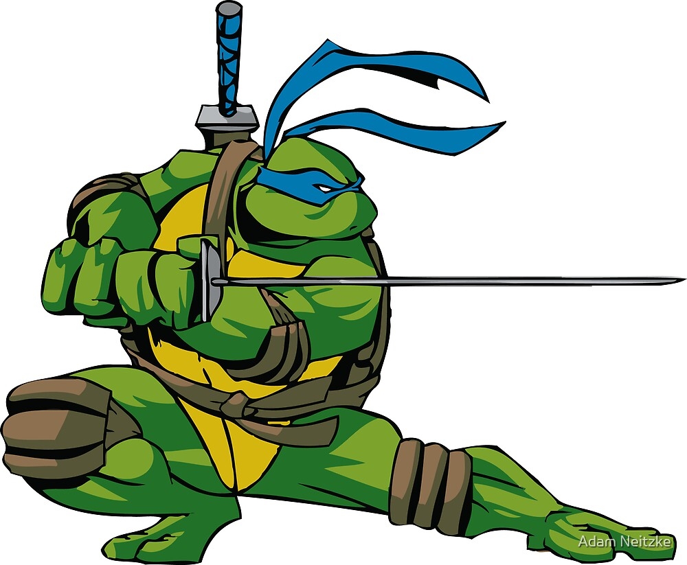 which Ninja Turtle is blue which Ninja Turtle is blue