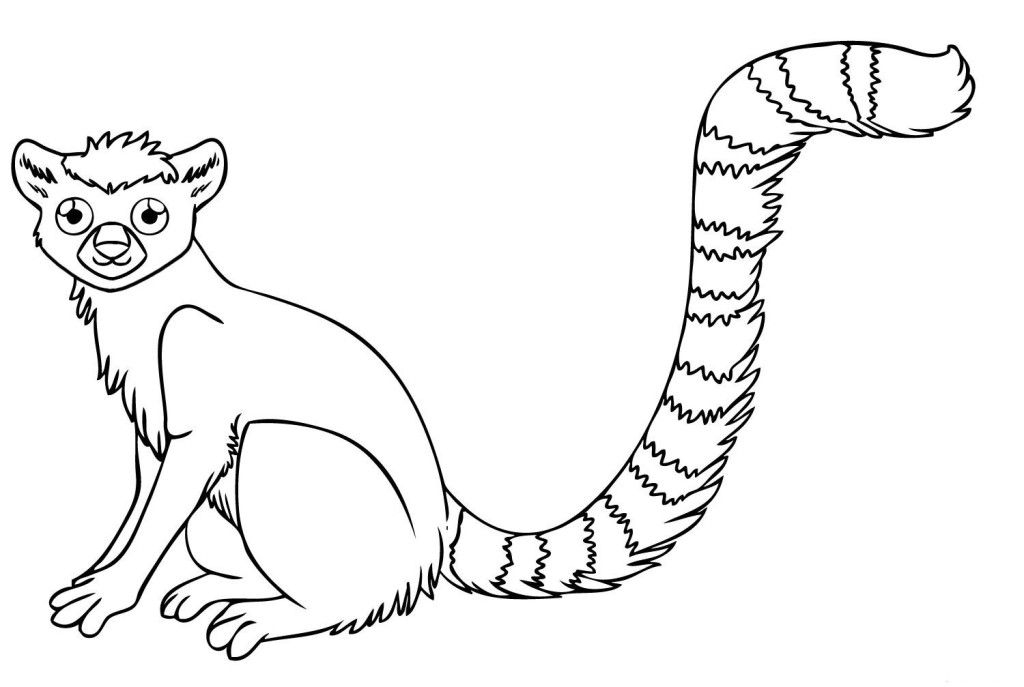 rainforest animal coloring pages rainforest animal coloring pages