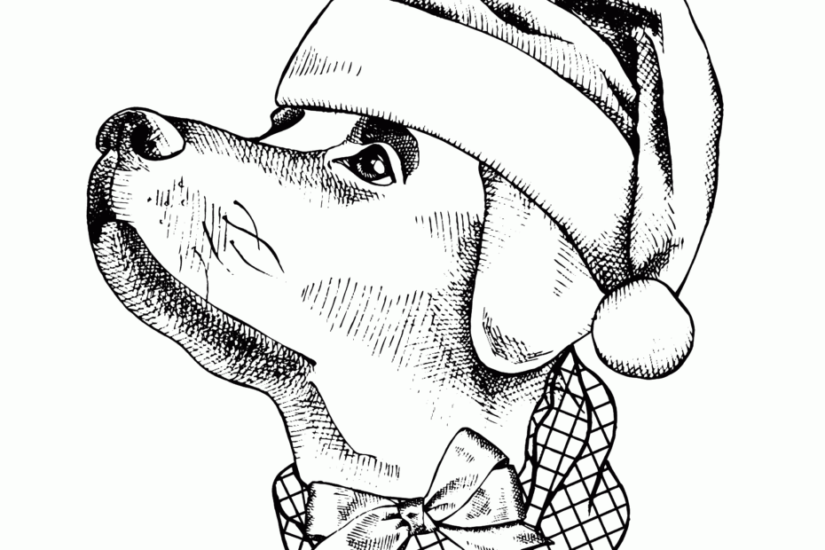 Real Dog Coloring Pages Printable Coloring Pages