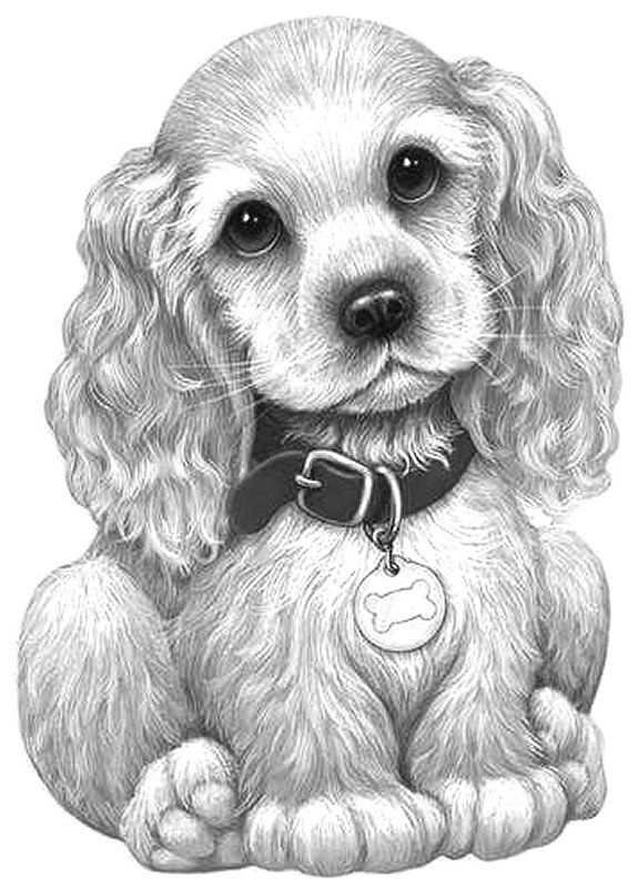 Realistic Dog Coloring Pages Realistic Dog Coloring Pages