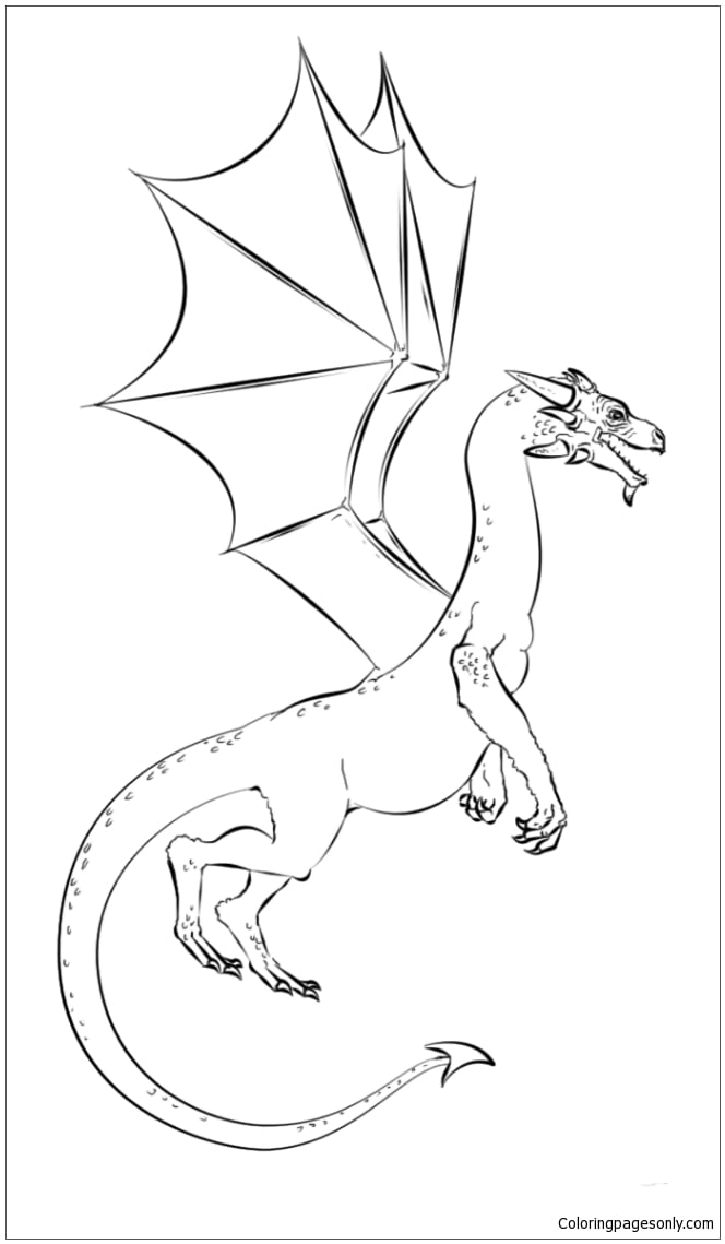 Realistic Dragon Coloring Page Free Printable Coloring Pages