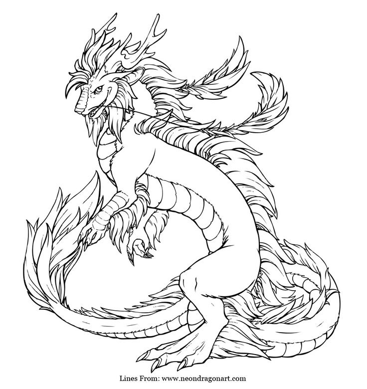 Realistic Dragon Coloring Pages For Adults Coloring Home