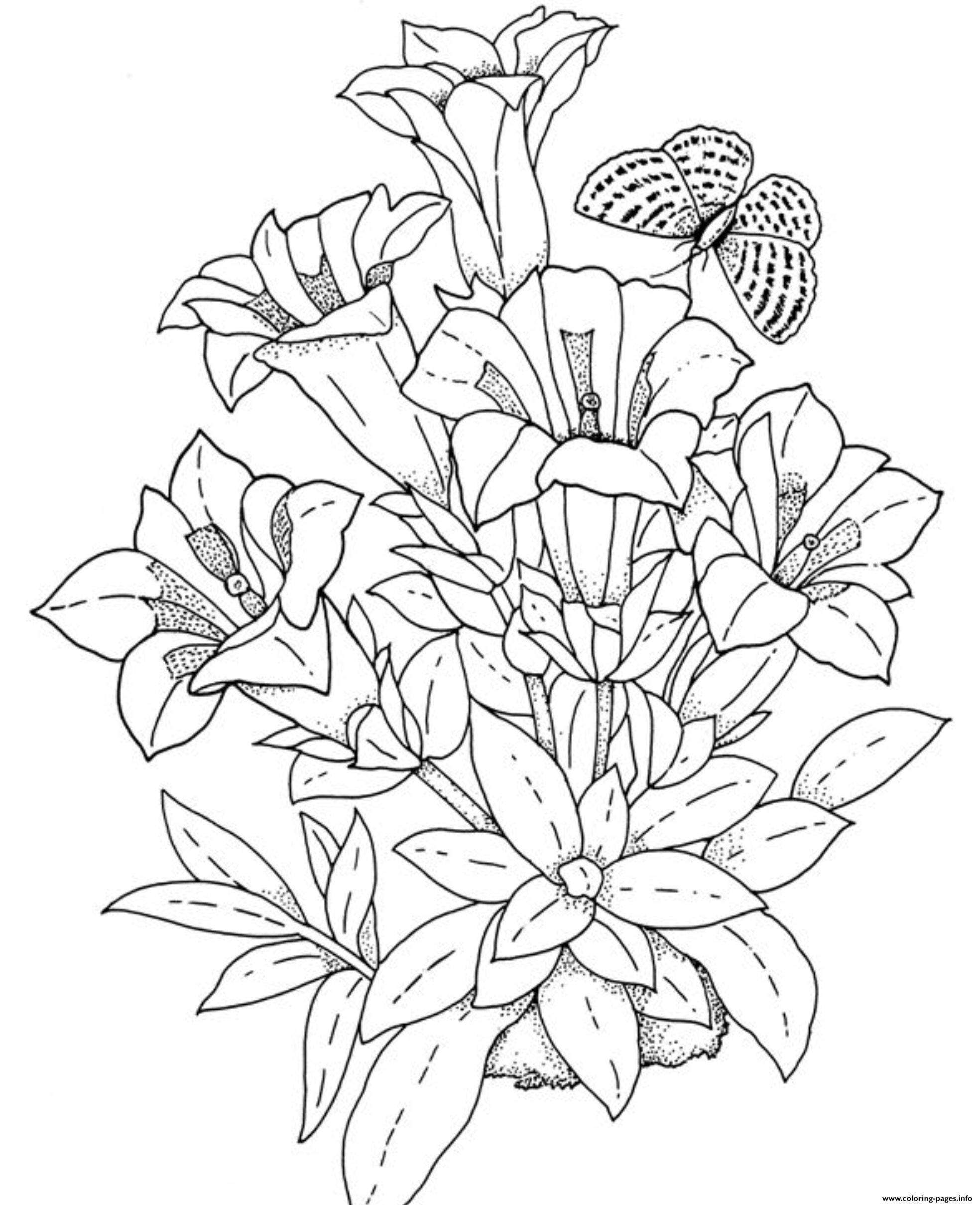 Realistic Flowers Coloring Page Printable Realistic Flowers Coloring Page Printable